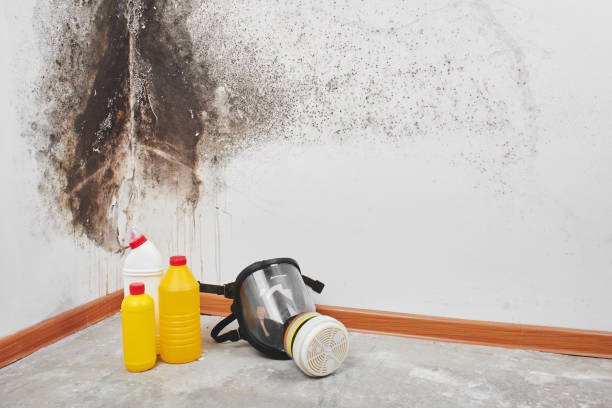 Best Biohazard Mold Removal  in Nekoosa, WI